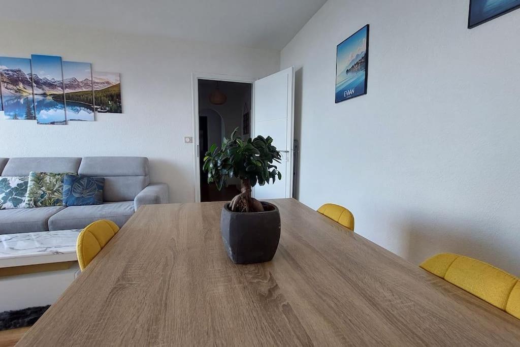 Appart Cosy Avec Vue Sur Le Lac Leman Évian-les-Bains Zewnętrze zdjęcie