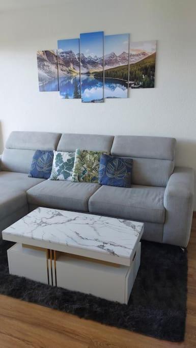 Appart Cosy Avec Vue Sur Le Lac Leman Évian-les-Bains Zewnętrze zdjęcie