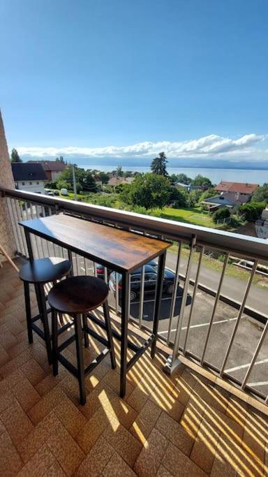 Appart Cosy Avec Vue Sur Le Lac Leman Évian-les-Bains Zewnętrze zdjęcie