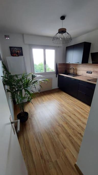 Appart Cosy Avec Vue Sur Le Lac Leman Évian-les-Bains Zewnętrze zdjęcie